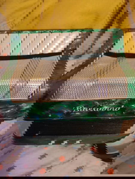 Burswood accordion αντίκα! Πλήρως λειτουργική!