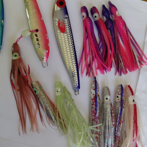 Shore jigging jigs used, Pregio Slash 60gr, Hayabusa Jack Eye Shot 60gr, M&W 100gr Inchiku, Nameless 125gr, 10 silicon octopus