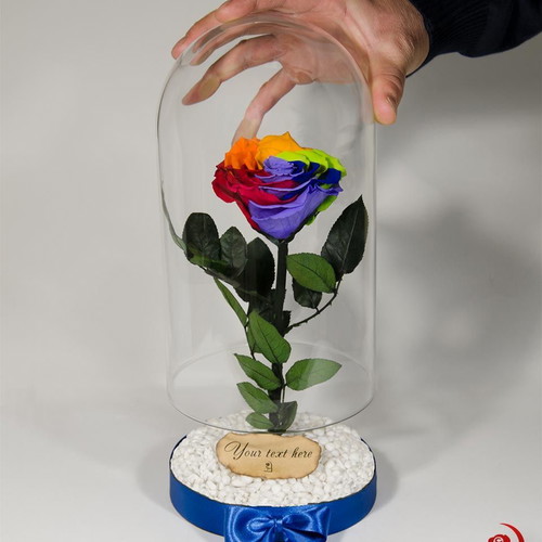 Rainbow Eternal Rose in Large Glass Dome made to order