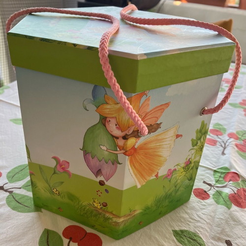 Empty polygon-shaped box new with fairy print
