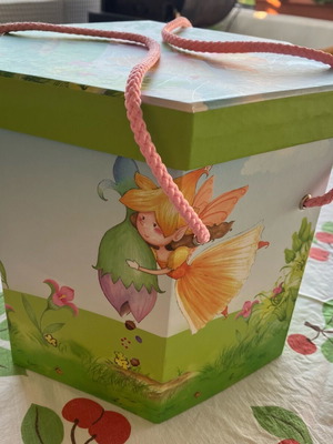Empty polygon-shaped box new with fairy print