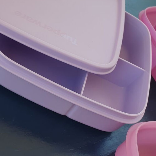 Tupperware children's divided lunch box, assorted colors