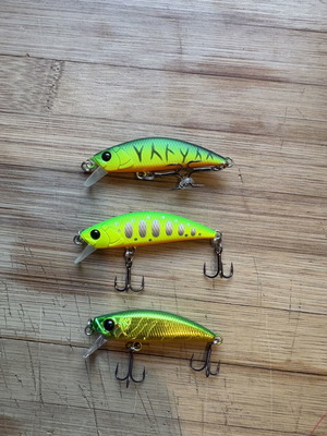 Tsurinoya Intruder 50S and 46S fishing lures