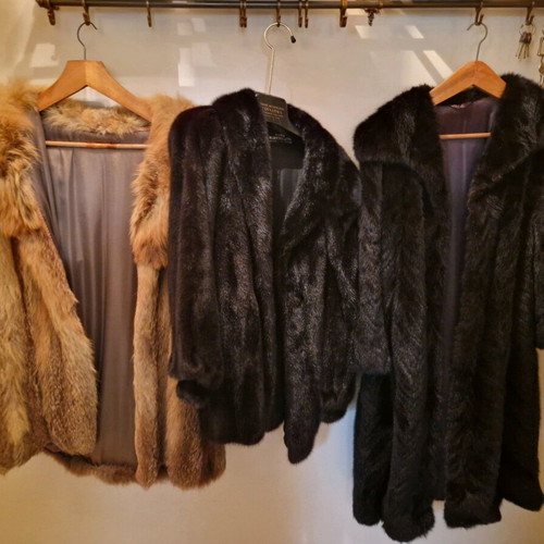 Mink furs, set of 3, different colors