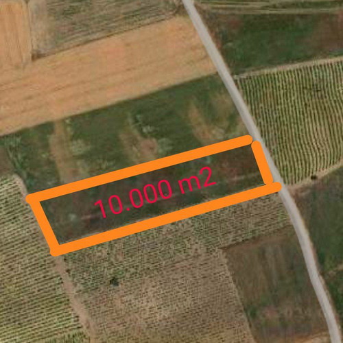 Agricultural land 10,000 m² with irrigation potential in Kallithea Viotia