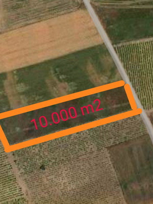 Αγροτεμάχιο 10.000 τ.μ. στην Καλλιθέα Βοιωτίας με δυνατότητα άρδευσης