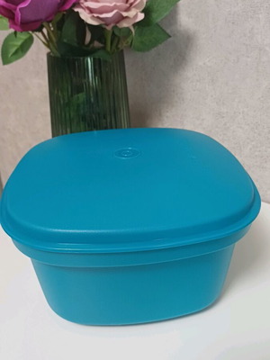 Tupperware container new in beautiful color