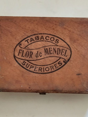 Flor de Mendel wooden cigar box used, vintage 1910-1920