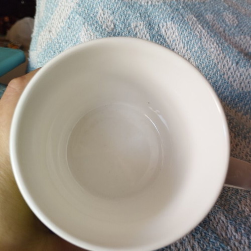 Paul Frank mug unused