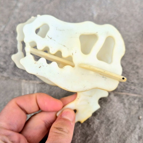 De Agostini dinosaur replacement head used