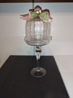 Glass Vase Display Case like new, elegant gift