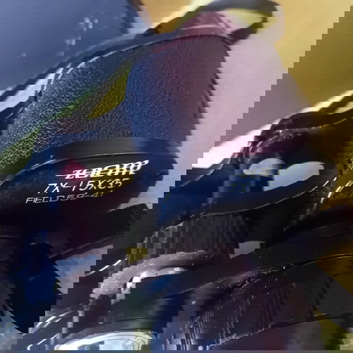 Everlite 7x-15x35 Zoom binoculars used vintage with case