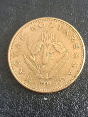 Hungary 20 florin coin used, 1995