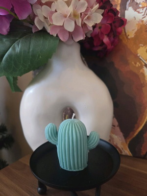 Cactus Candle custom made from soy wax