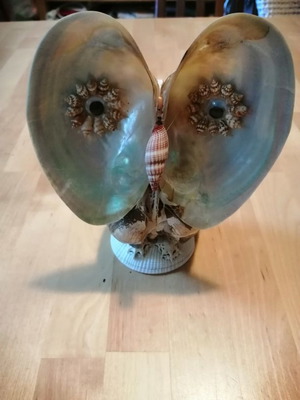Handmade shell owl decoration used