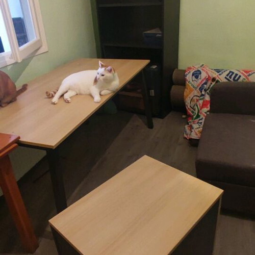 Dromeas office furniture used, desk with drawers and bookshelf