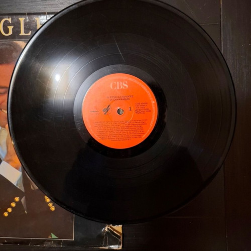 Julio Iglesias 26 Golden Hits 2xLP used, pop