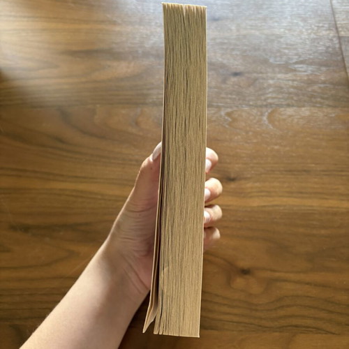We’ll Always Have Summer book like new, English