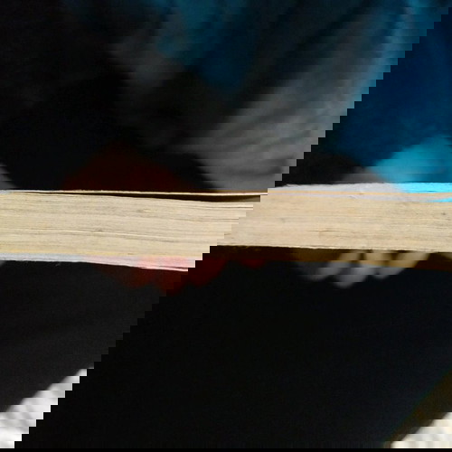 Υπόθεση της όμορφης ζητιάνας μεταχειρισμένο αστυνομικό μυθιστόρημα