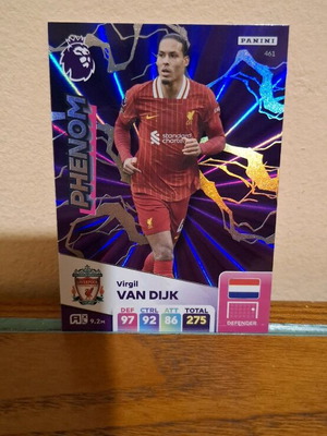 Panini Premier League Virginia Van Dijk new