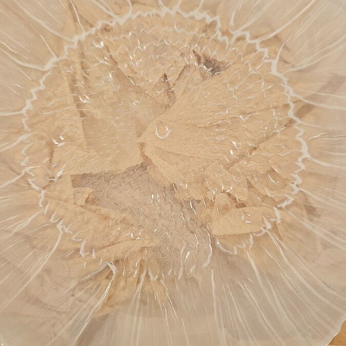 Kosta Boda Linda crystal serving platters, sunflower design, 26 cm