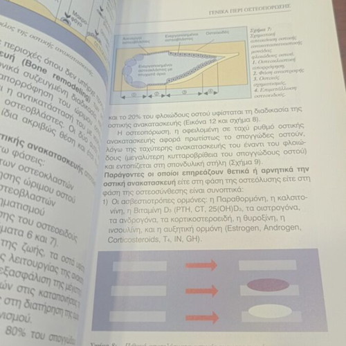 Osteoporosis book used, Greek language