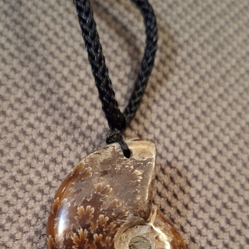 Ammonite pendant necklace, polished, adjustable string