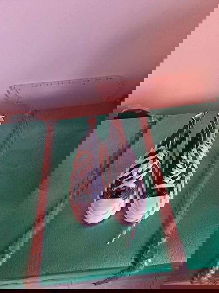 πανινα
