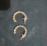 Earrings like new