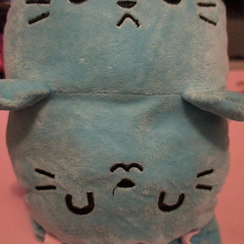 Plush Cat 2 Sides Like New