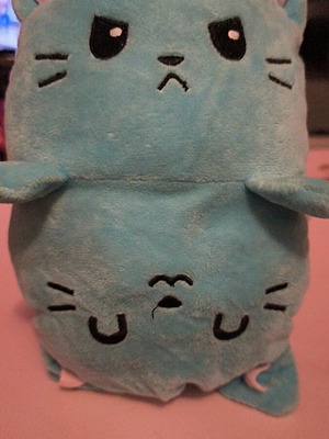 Plush Cat 2 Sides Like New
