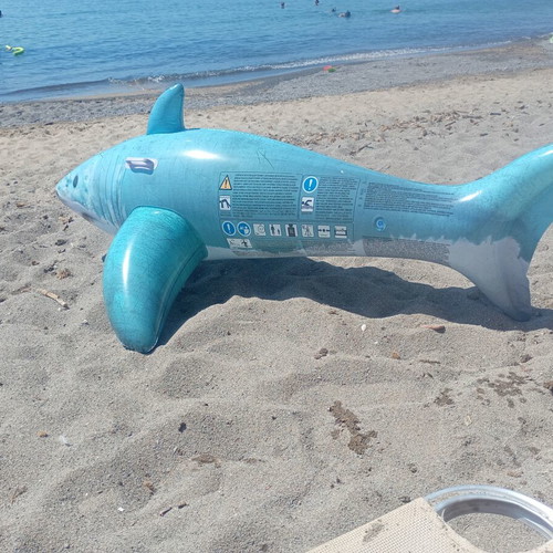 Best way inflatable shark for ages 3 and up