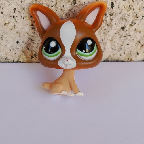 Littlest Pet Shop Hasbro figures used collection 70+