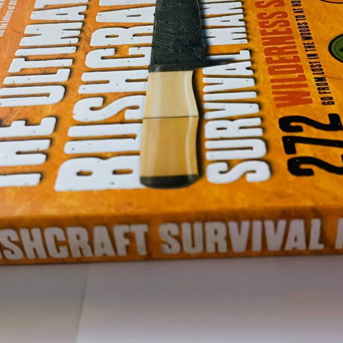 Survival guide Best Seller by Tim MacWelch new, English