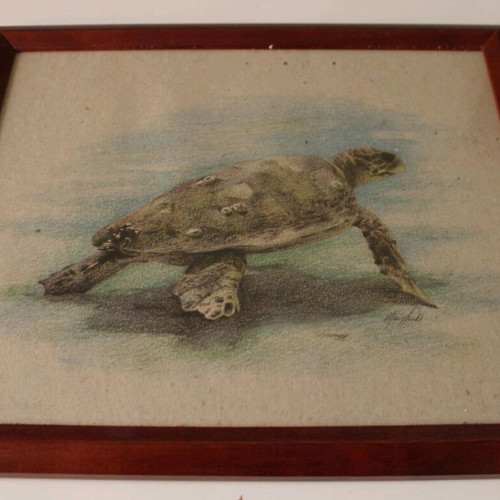 Turtle print frame like new, 34x29