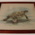 Turtle print frame like new, 34x29