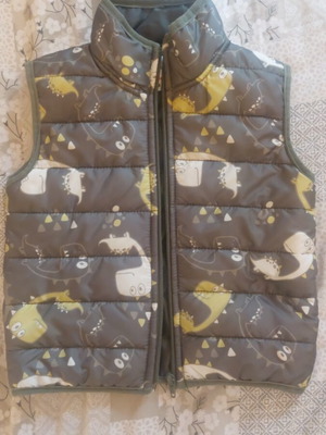 Children's sleeveless jacket/vest with dinosaurs like new 18 months