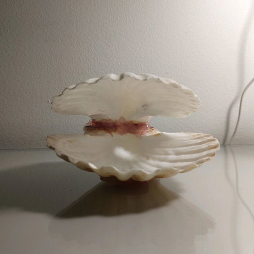Decorative shell new, handmade with real shell