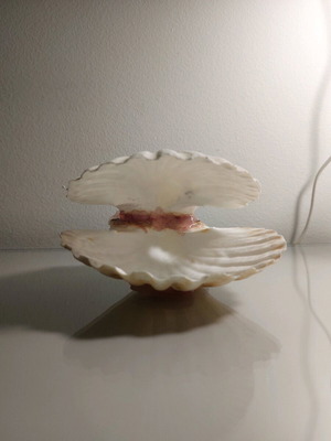 Decorative shell new, handmade with real shell