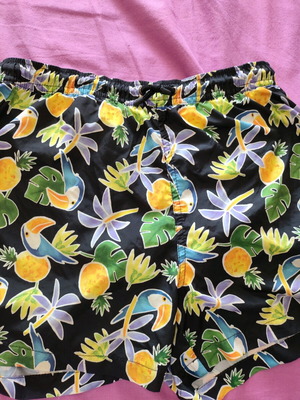 Zara boys' swimwear like new, size 11-12