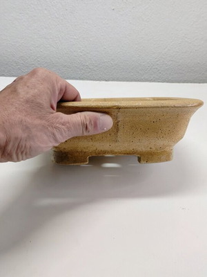 Pot bonsai new made of ecological mineral materials