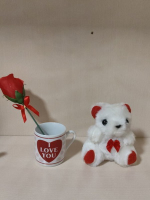 Teddy bear and flower with cup like new gift