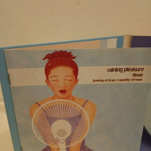Raining Pleasure Flood CD used, rock