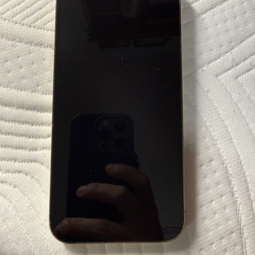 iPhone 12 Pro Max 256GB Gold