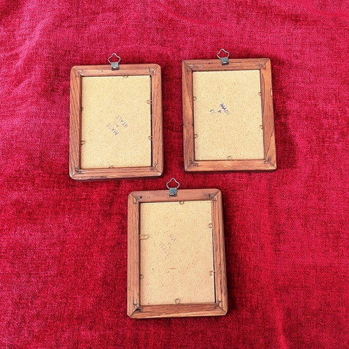 Collection of 3 mini frames with wooden frame like new