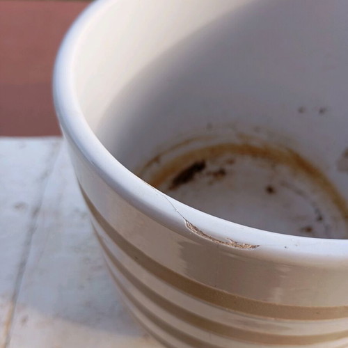 Ceramic Sinsay flowerpot like new