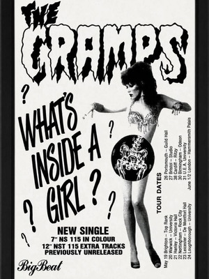 The Cramps poster with frame, new, 32×23cm