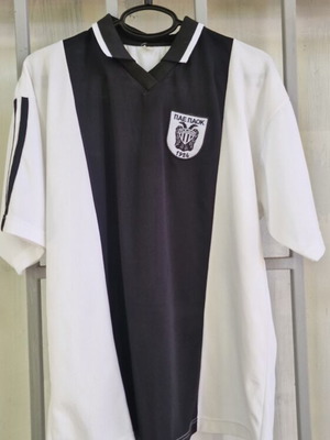PAOK Salpingidis replica official football jersey