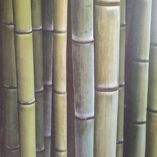 Πίνακας φωτογραφία bamboo σαν καινούργιο 90x90 εκ.