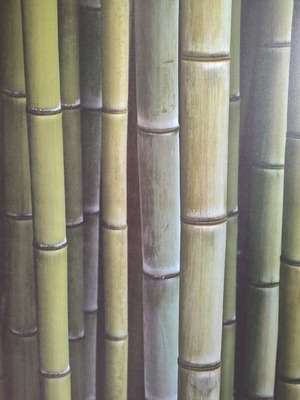 Πίνακας φωτογραφία bamboo σαν καινούργιο 90x90 εκ.